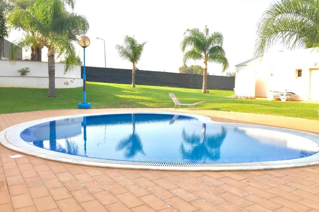Albufeira, Standind Flat With Swimming Pool Appartement Albufeira